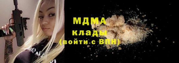 spice Богородицк